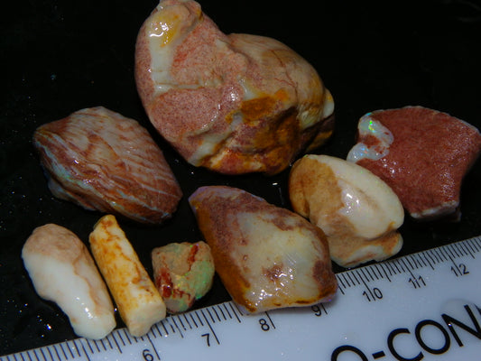 Nice Coober PEdy Fossil Opal shell/ Parts of Shells Opal Parcel 173cts Fires/Specimens :)