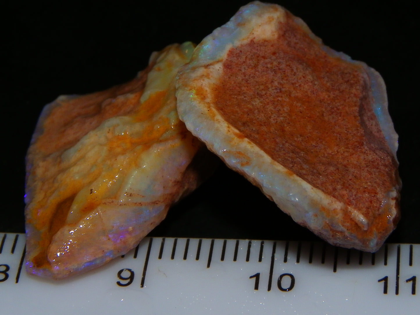 Nice Coober PEdy Fossil Opal shell/ Parts of Shells Opal Parcel 173cts Fires/Specimens :)