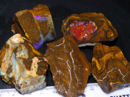 Nice Boulder Opal Specimens 1020.5cts Some Fires/Patterns Queensland Australia