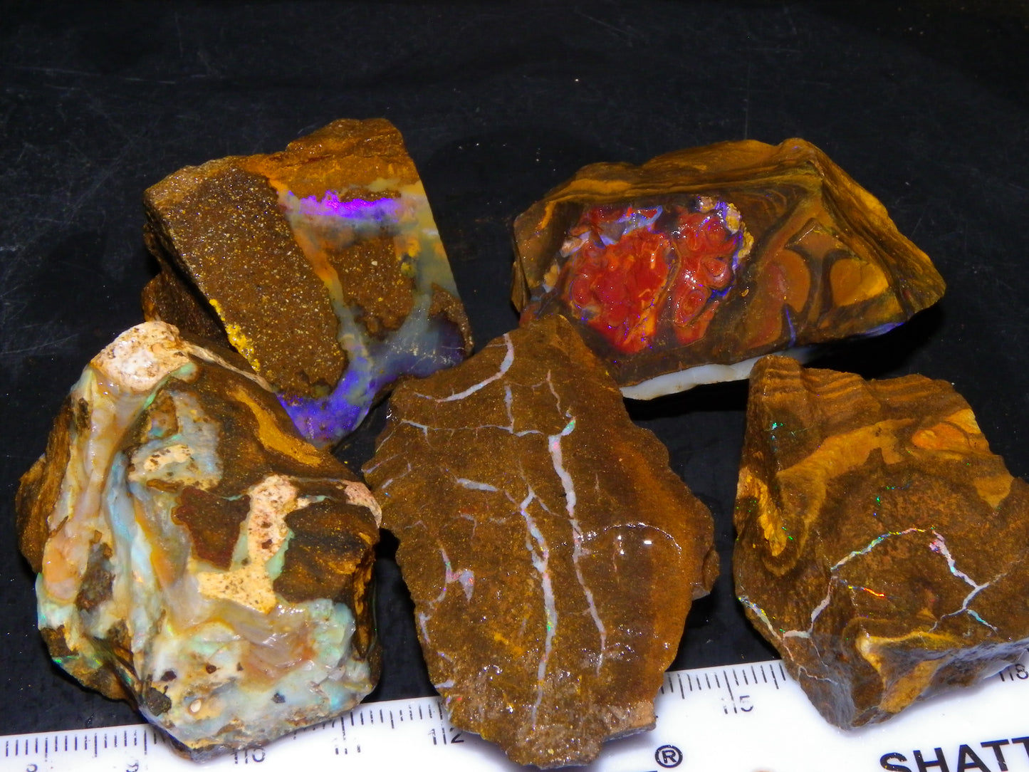 Nice Boulder Opal Specimens 1020.5cts Some Fires/Patterns Queensland Australia