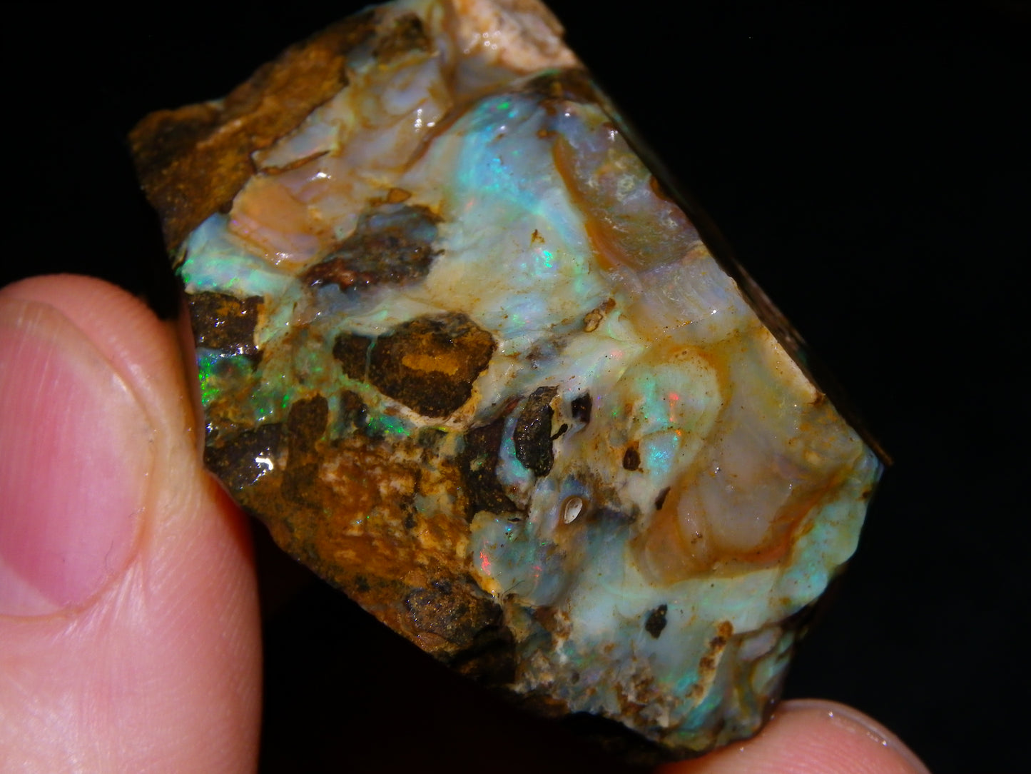 Nice Boulder Opal Specimens 1020.5cts Some Fires/Patterns Queensland Australia