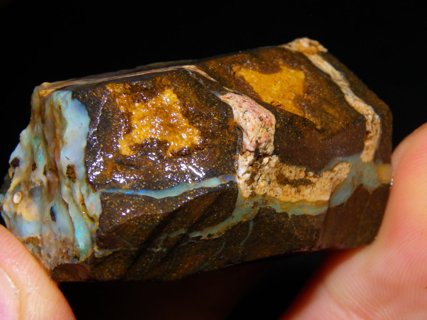 Nice Boulder Opal Specimens 1020.5cts Some Fires/Patterns Queensland Australia