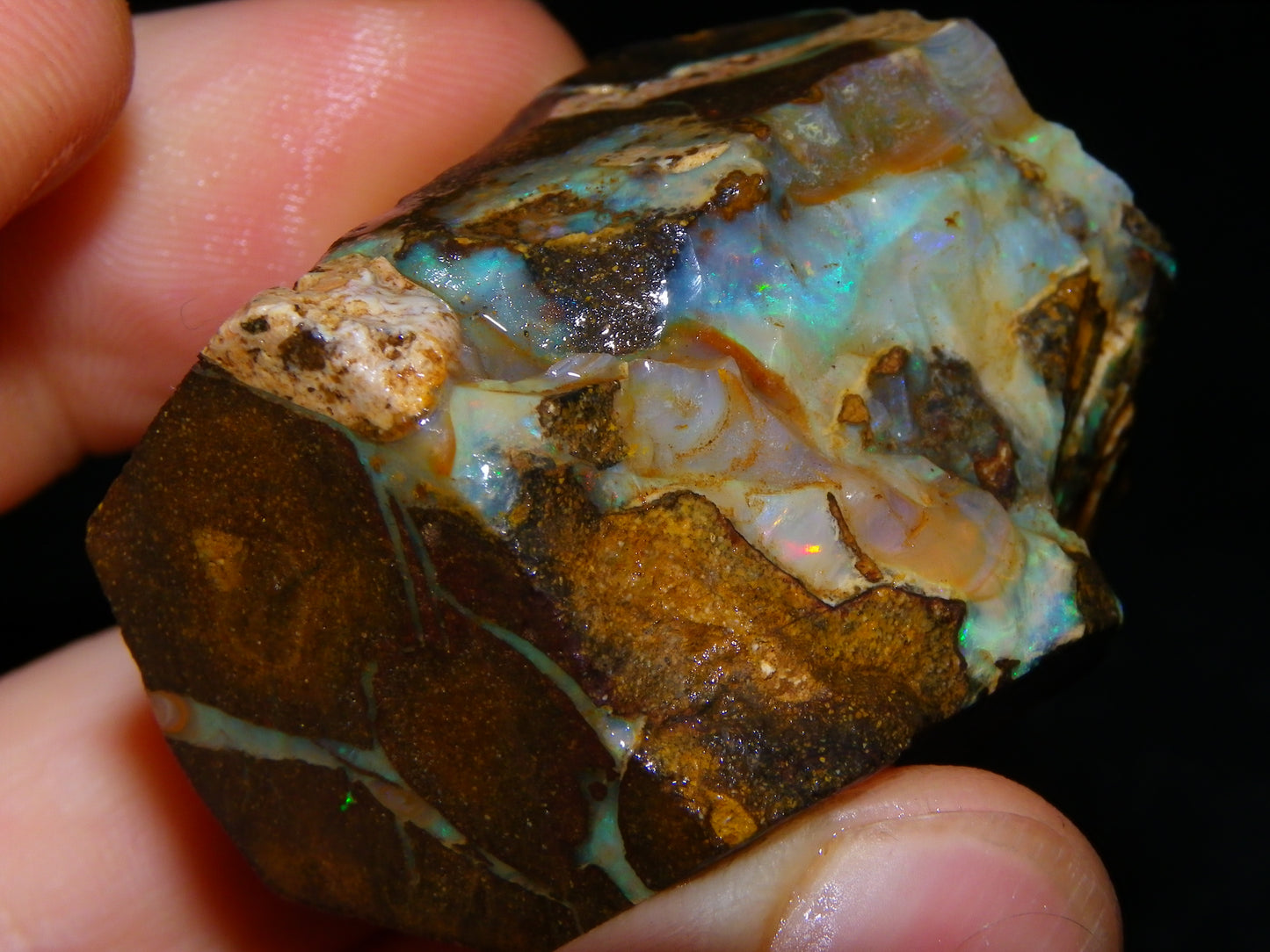 Nice Boulder Opal Specimens 1020.5cts Some Fires/Patterns Queensland Australia