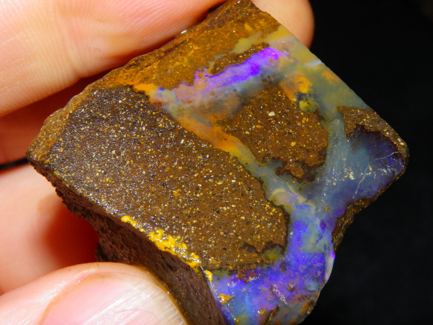 Nice Boulder Opal Specimens 1020.5cts Some Fires/Patterns Queensland Australia