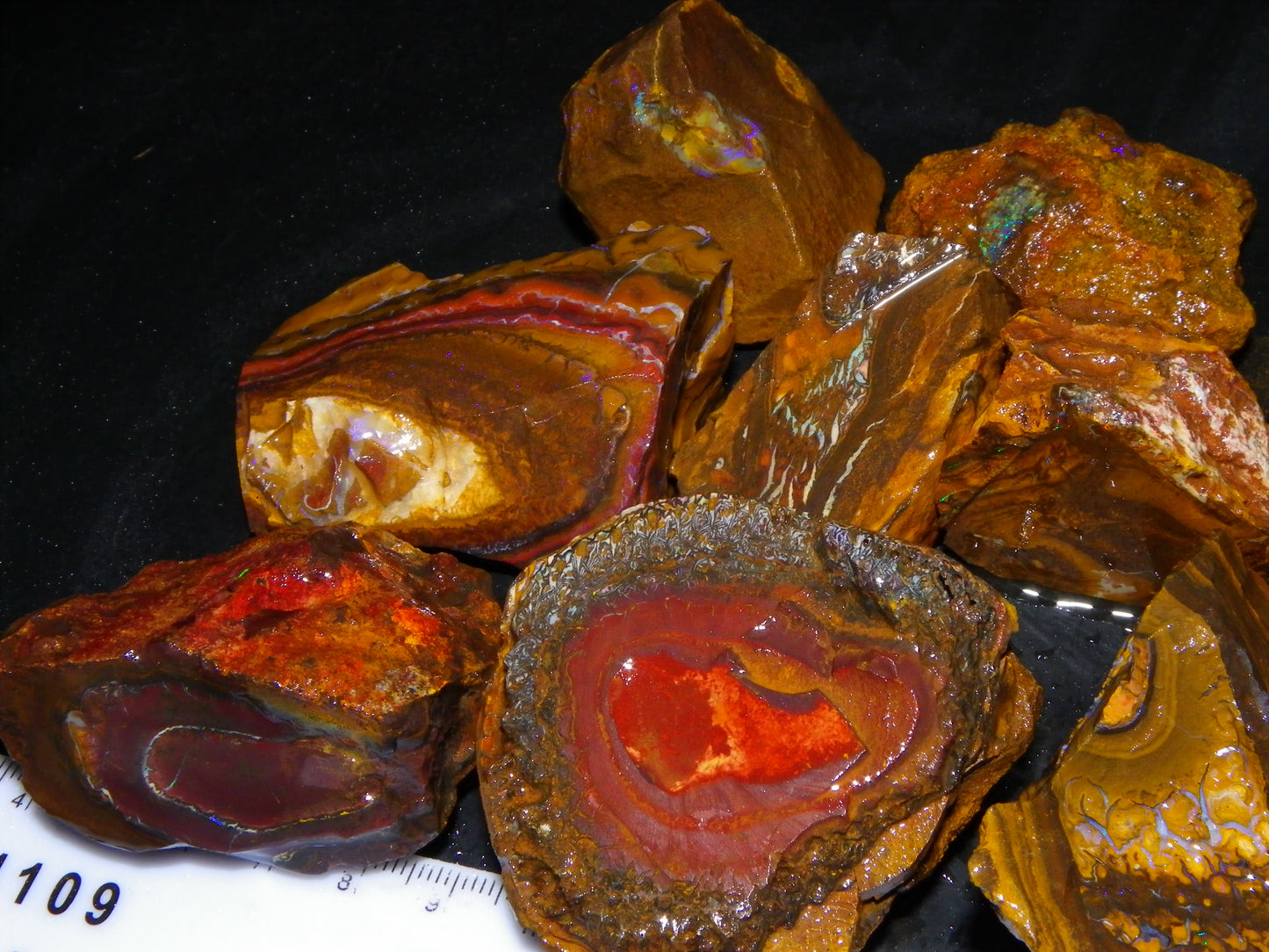 Nice Larger Rough Koroit Opal Parcel 3110cts Patterns Some Fires Queensland Australia