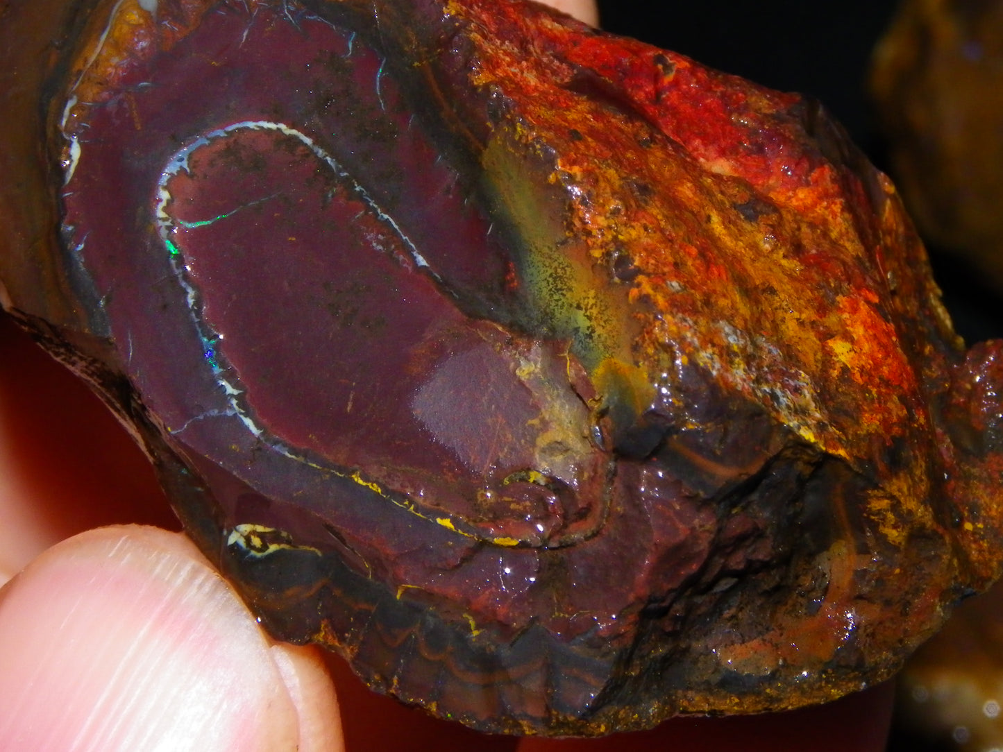 Nice Larger Rough Koroit Opal Parcel 3110cts Patterns Some Fires Queensland Australia