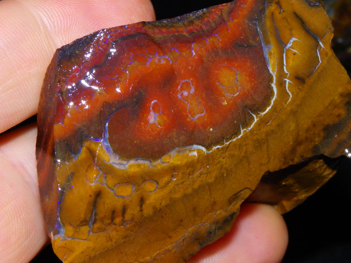 Nice Larger Rough Koroit Opal Parcel 3110cts Patterns Some Fires Queensland Australia