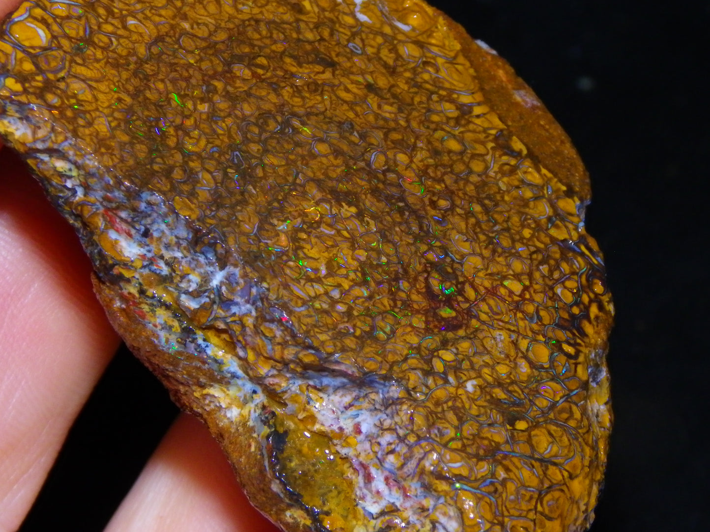 Nice Koroit Opal Sliced Nut 433cts Great Patterns Some Fires Matching Pair :)