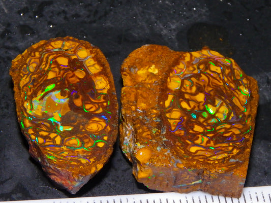 Very Nice Sliced Small Koroit Opal Nut 62.3cts Bright Green/BLue Fires/Patterns