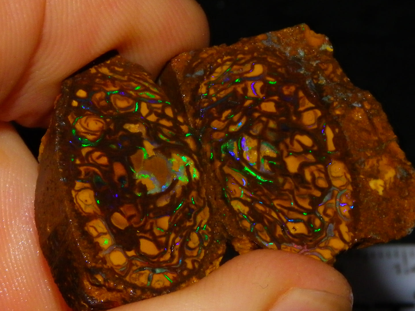 Very Nice Sliced Small Koroit Opal Nut 62.3cts Bright Green/BLue Fires/Patterns