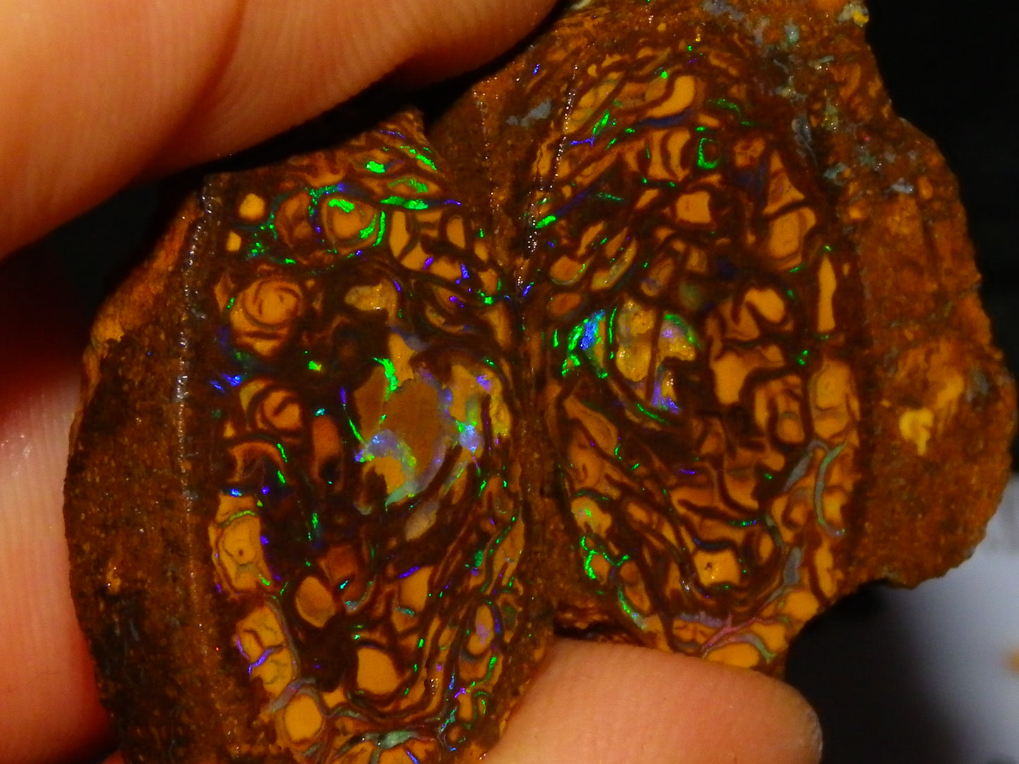 Very Nice Sliced Small Koroit Opal Nut 62.3cts Bright Green/BLue Fires/Patterns