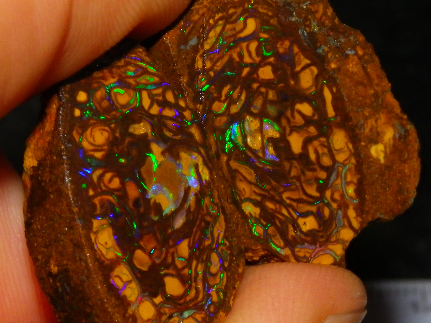 Very Nice Sliced Small Koroit Opal Nut 62.3cts Bright Green/BLue Fires/Patterns