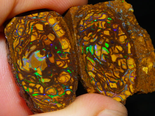 Very Nice Sliced Small Koroit Opal Nut 62.3cts Bright Green/BLue Fires/Patterns