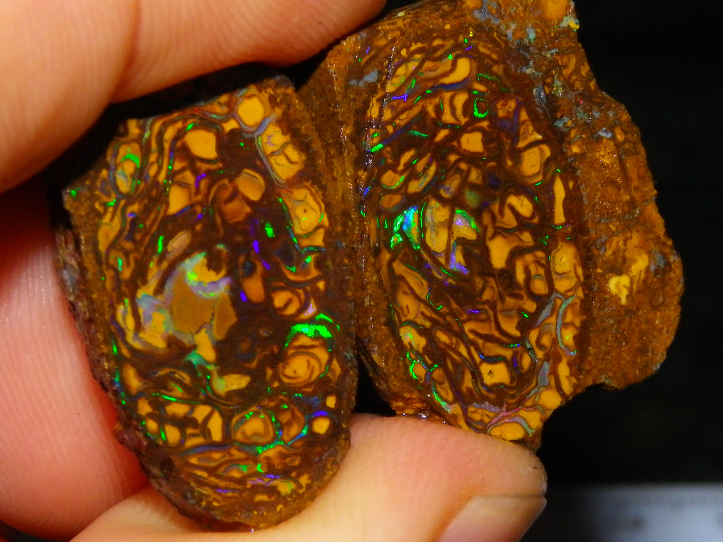 Very Nice Sliced Small Koroit Opal Nut 62.3cts Bright Green/BLue Fires/Patterns