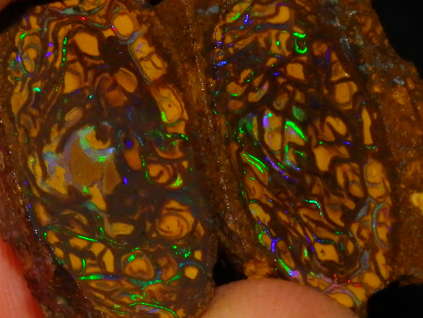 Very Nice Sliced Small Koroit Opal Nut 62.3cts Bright Green/BLue Fires/Patterns