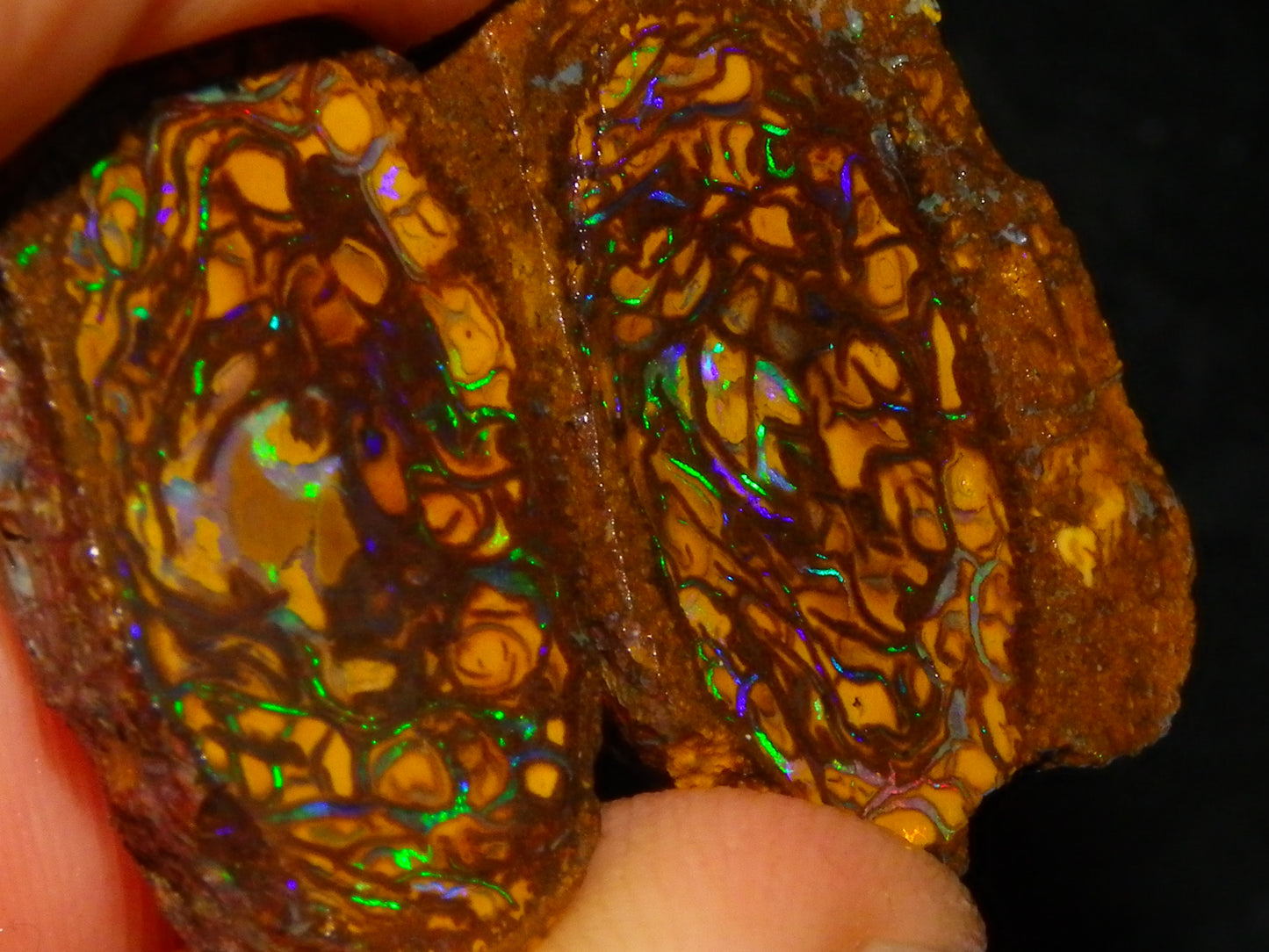 Very Nice Sliced Small Koroit Opal Nut 62.3cts Bright Green/BLue Fires/Patterns