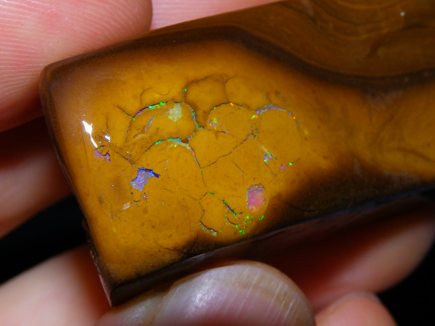 Nice Rubbed/Rough Koroit Opal Specimen 170.5cts Green/Blue Pattern Qld Au