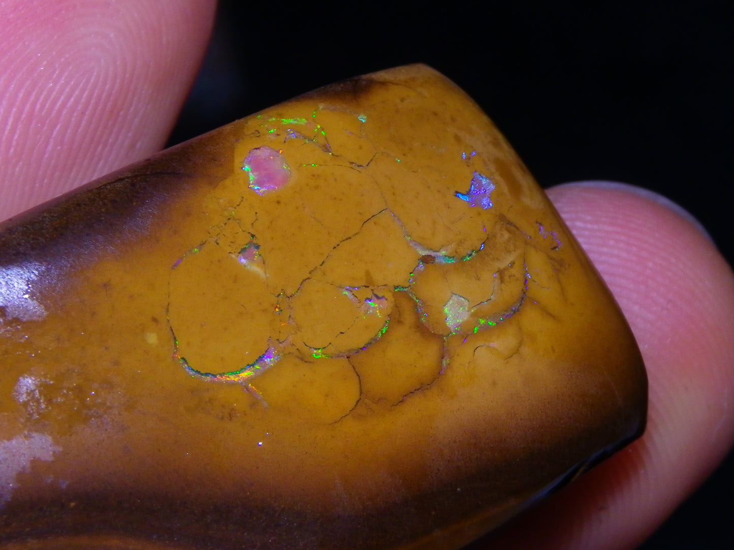 Nice Rubbed/Rough Koroit Opal Specimen 170.5cts Green/Blue Pattern Qld Au