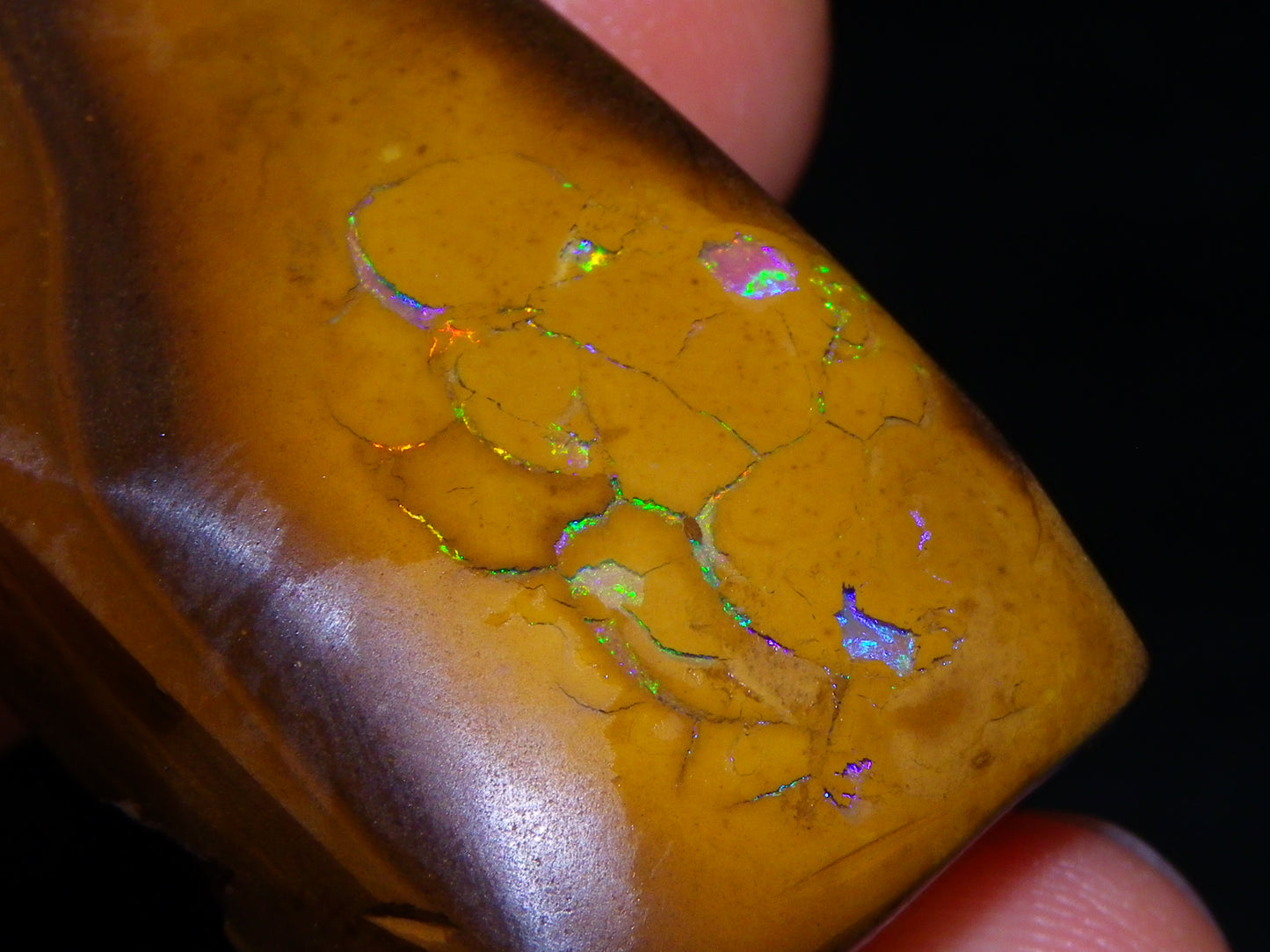 Nice Rubbed/Rough Koroit Opal Specimen 170.5cts Green/Blue Pattern Qld Au