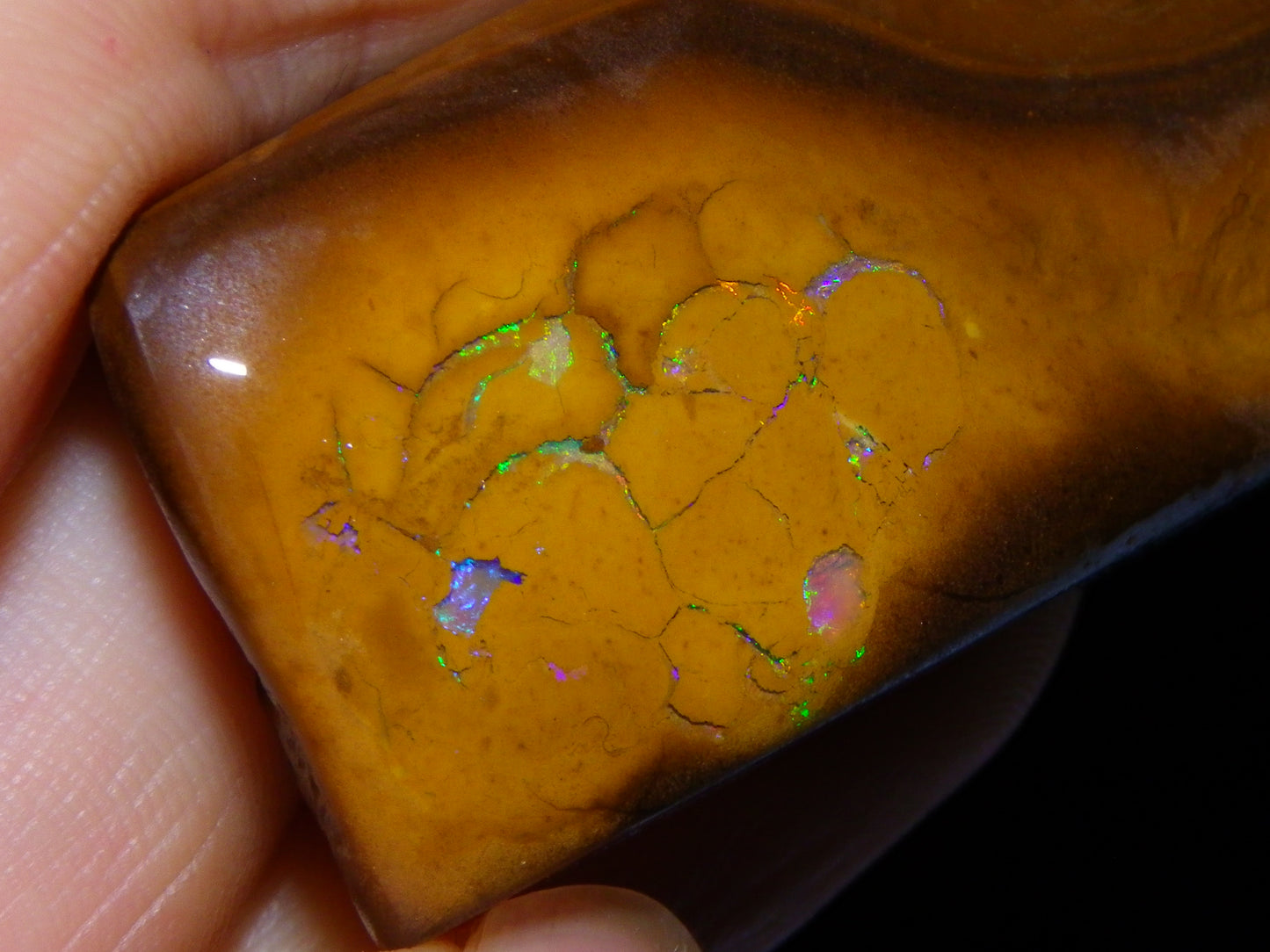 Nice Rubbed/Rough Koroit Opal Specimen 170.5cts Green/Blue Pattern Qld Au