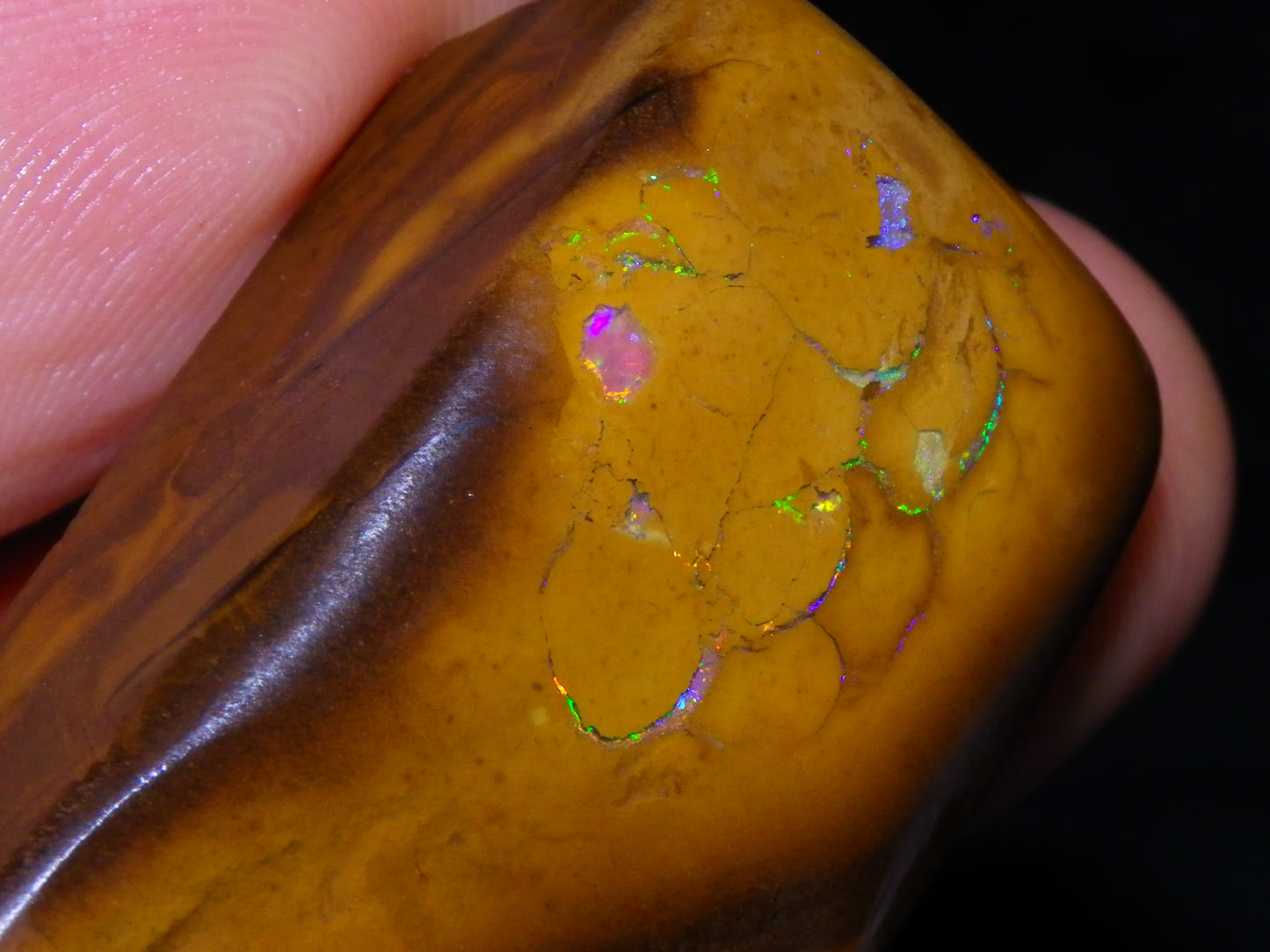 Nice Rubbed/Rough Koroit Opal Specimen 170.5cts Green/Blue Pattern Qld Au