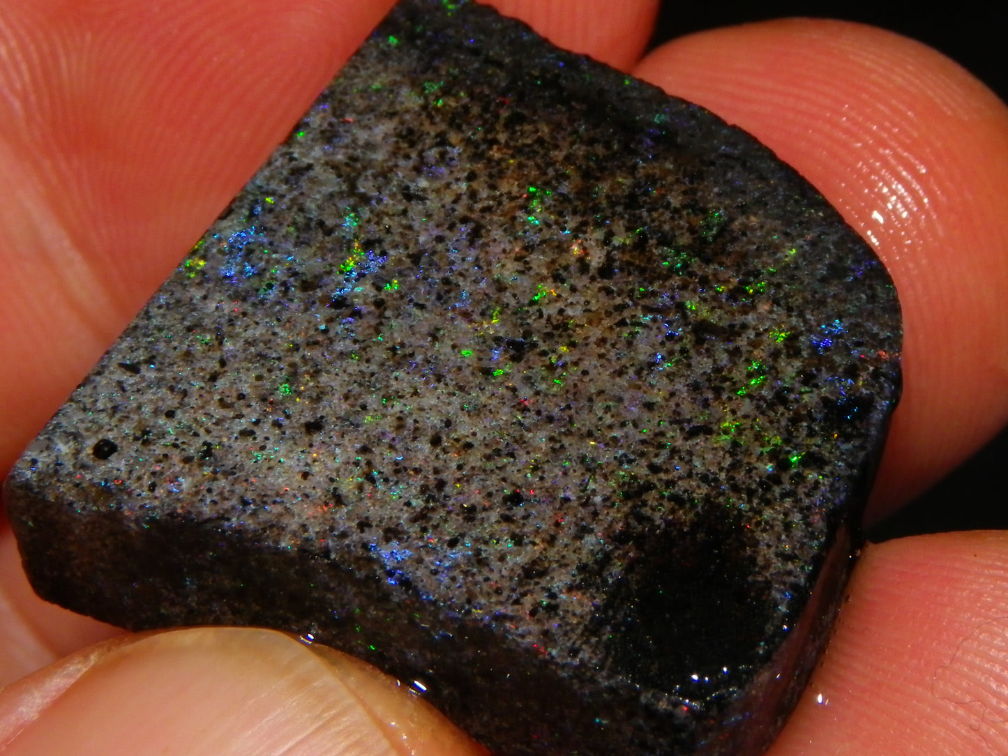 Nice Rough/Sliced/Treated Andamooka Matrix Opal Parcel 154cts Some Fires