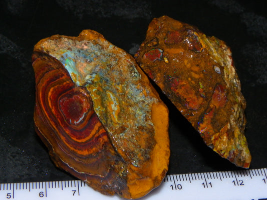 2 Nice Koroit/Queensland Opal Rough/Sliced specimens 741cts Some Fires :)