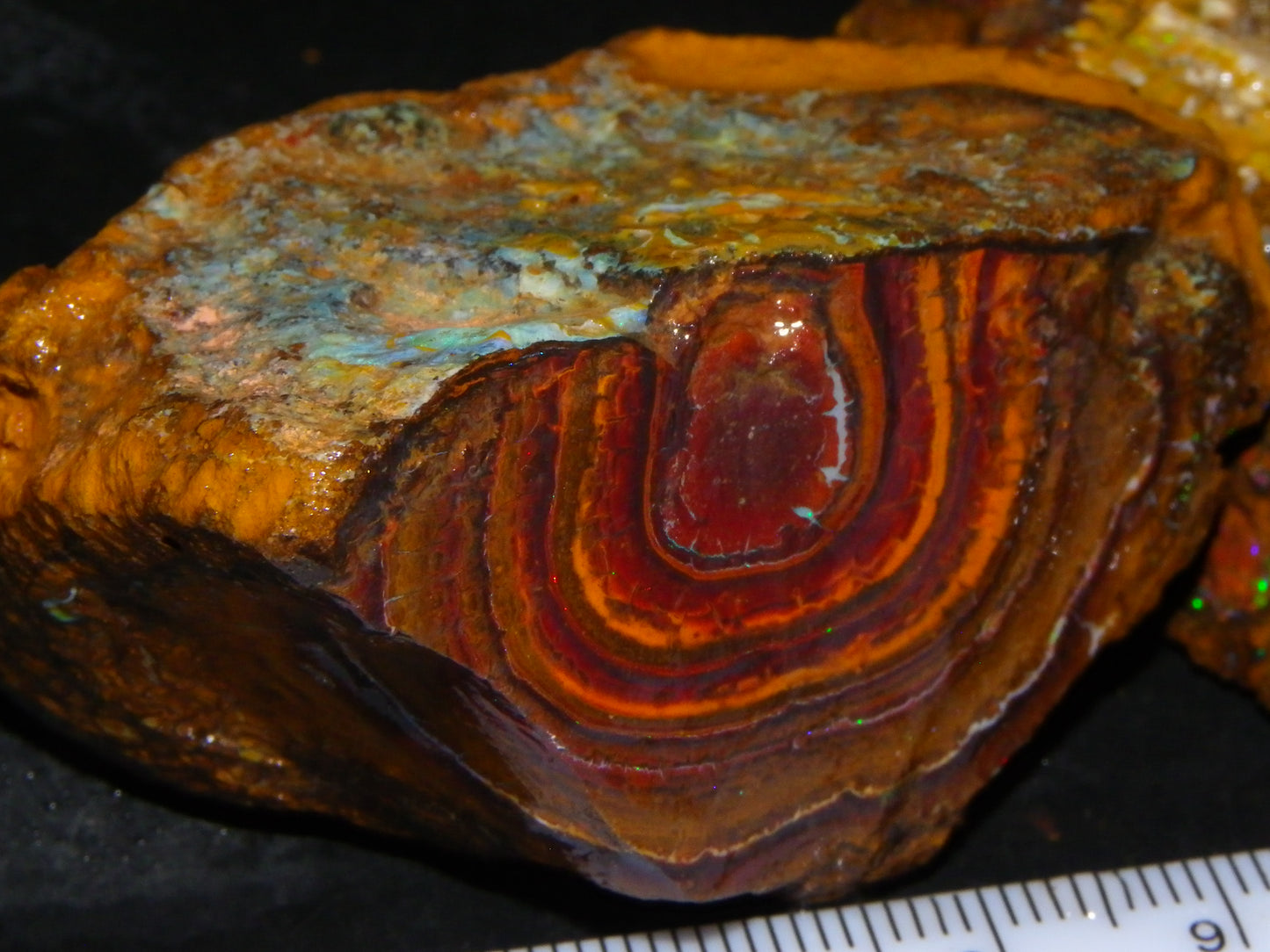 2 Nice Koroit/Queensland Opal Rough/Sliced specimens 741cts Some Fires :)
