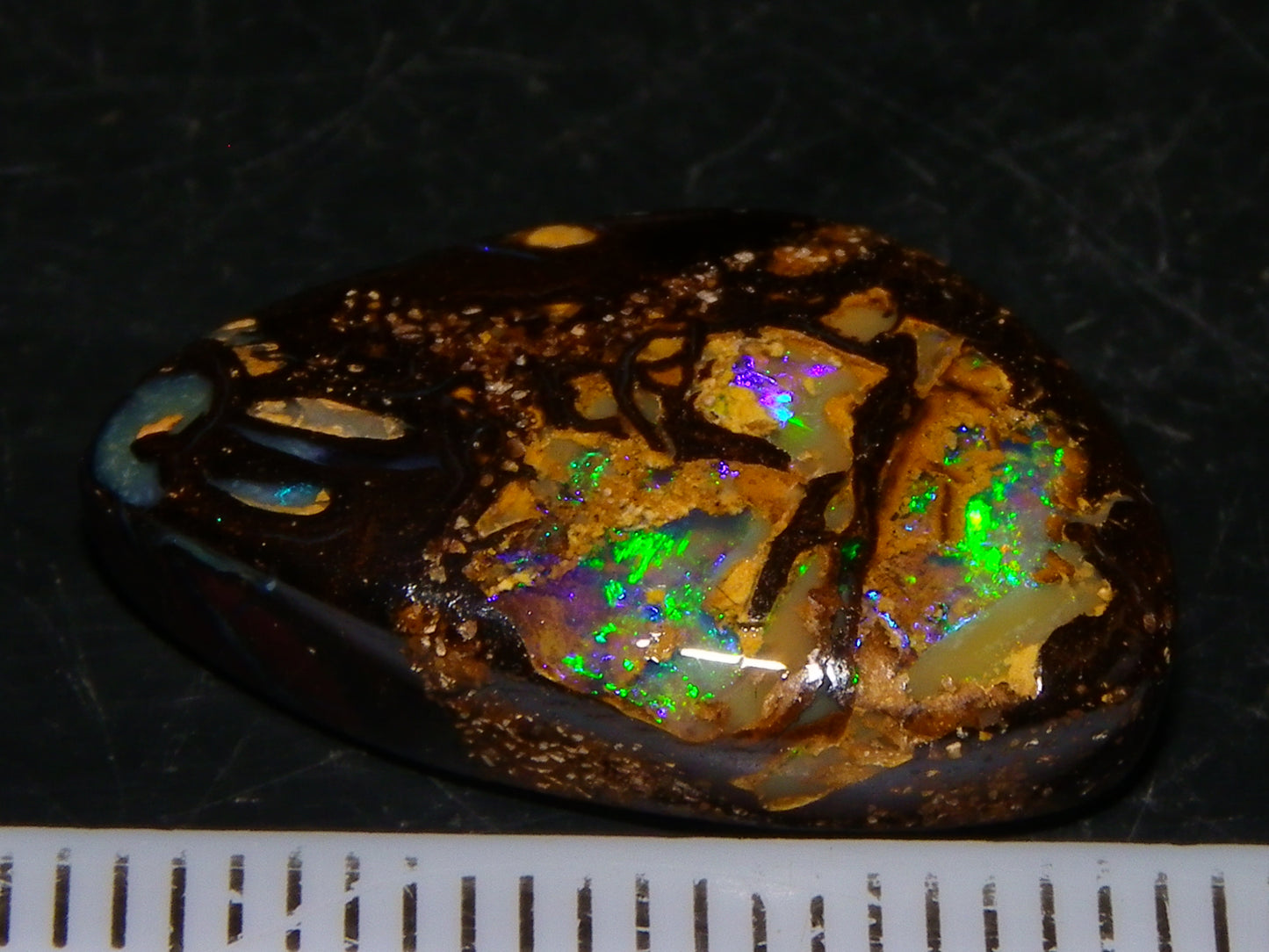 Nice Quality Cut/Polished Boulder Opal Cab 10.95cts Blue/Green Fires Qld Australia