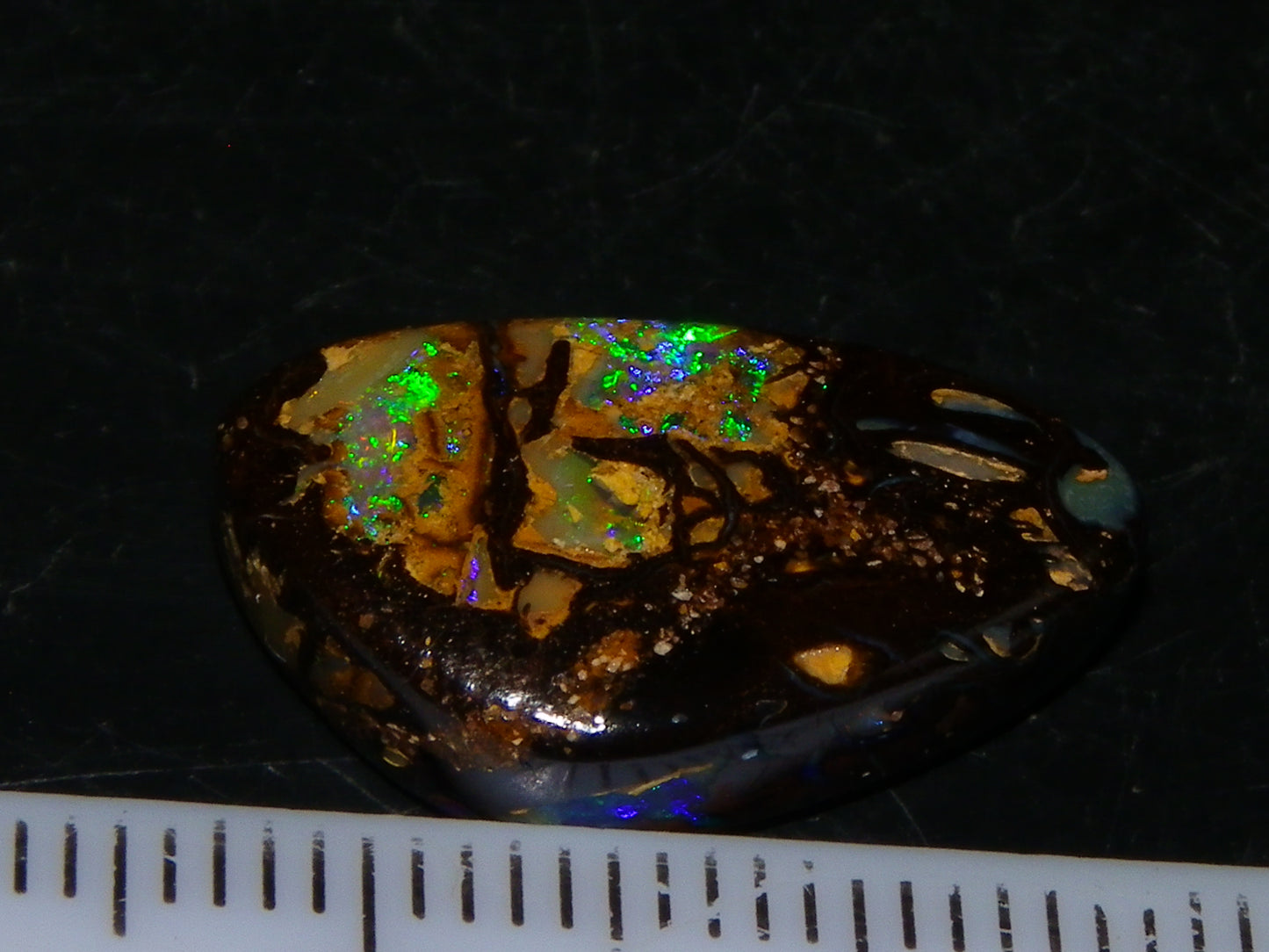 Nice Quality Cut/Polished Boulder Opal Cab 10.95cts Blue/Green Fires Qld Australia