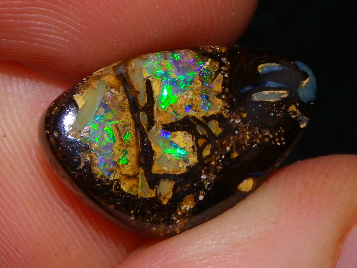 Nice Quality Cut/Polished Boulder Opal Cab 10.95cts Blue/Green Fires Qld Australia