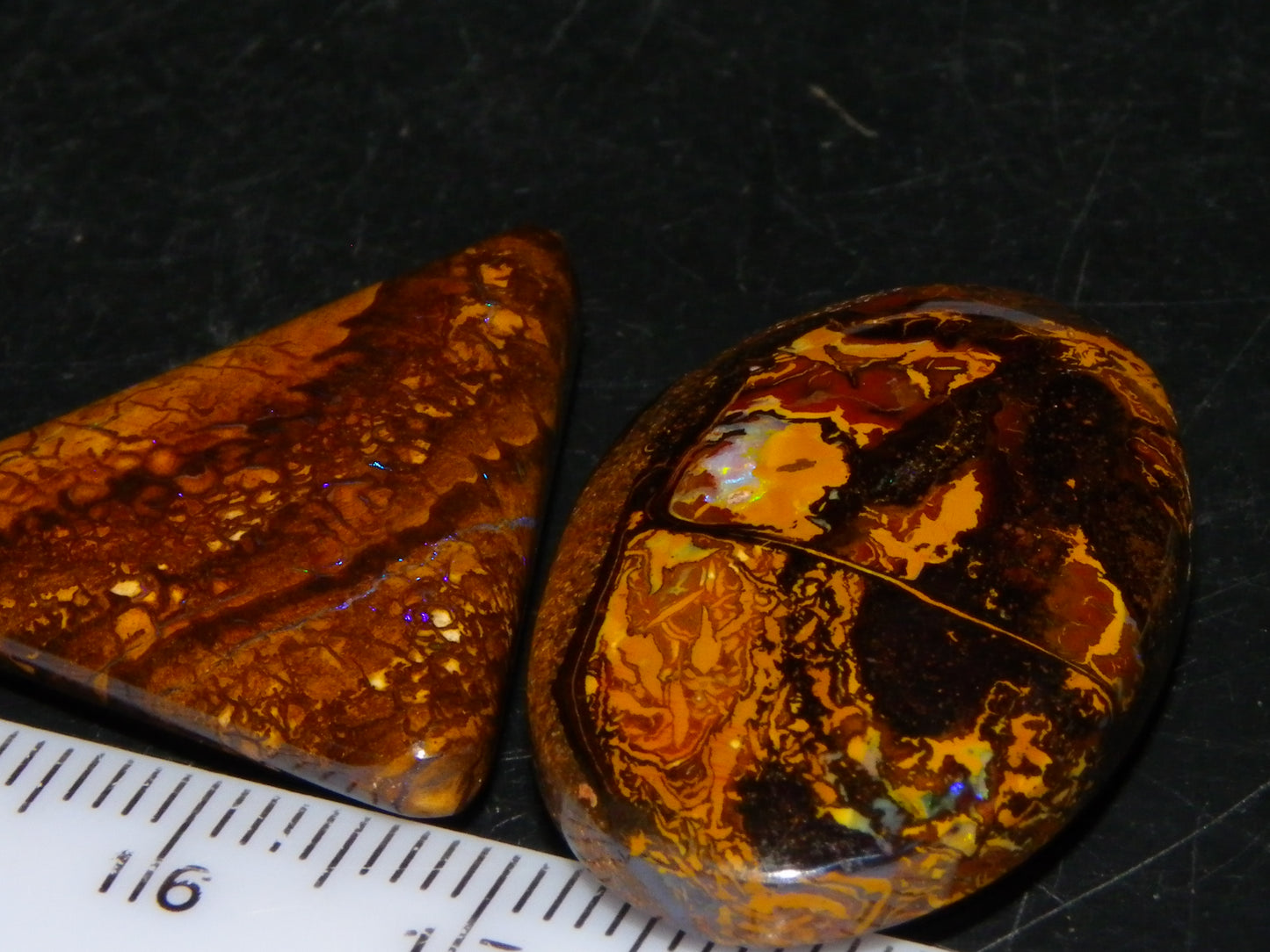 2 Cut/Polished Koroit Opal Cabs/Freeforms 61cts Some Fires/Patterns QueenslandAustralia