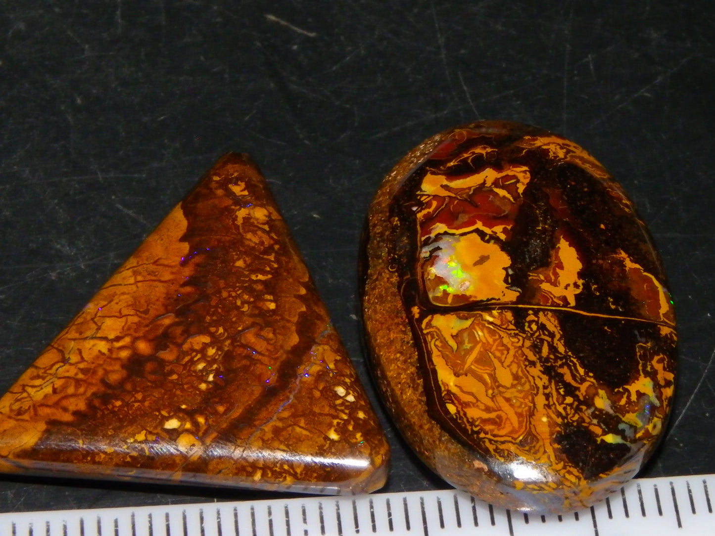 2 Cut/Polished Koroit Opal Cabs/Freeforms 61cts Some Fires/Patterns QueenslandAustralia