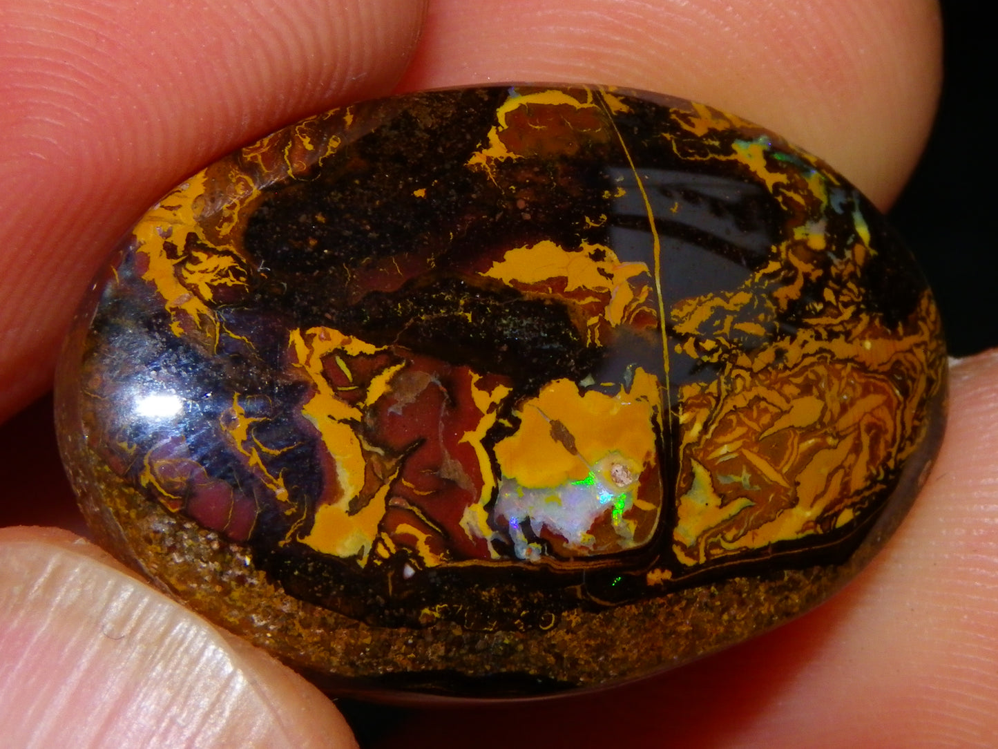 2 Cut/Polished Koroit Opal Cabs/Freeforms 61cts Some Fires/Patterns QueenslandAustralia