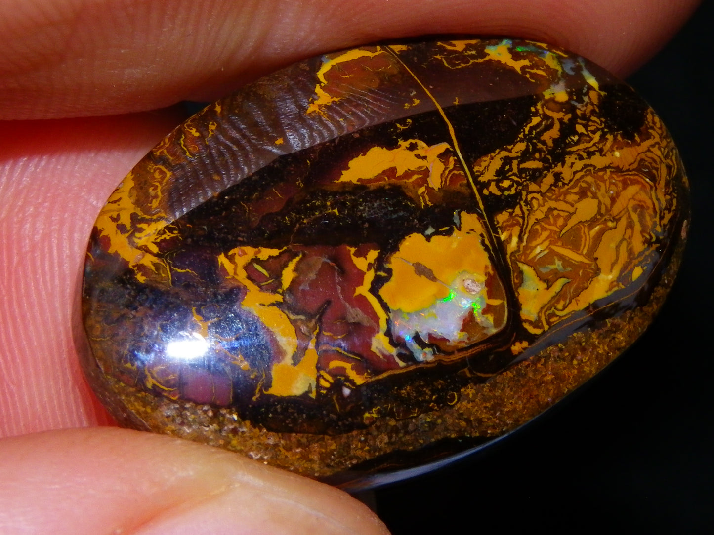 2 Cut/Polished Koroit Opal Cabs/Freeforms 61cts Some Fires/Patterns QueenslandAustralia