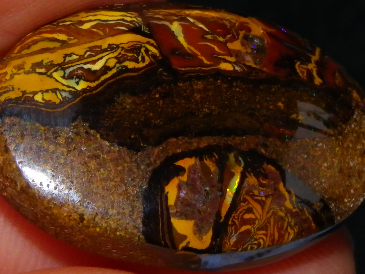 2 Cut/Polished Koroit Opal Cabs/Freeforms 61cts Some Fires/Patterns QueenslandAustralia