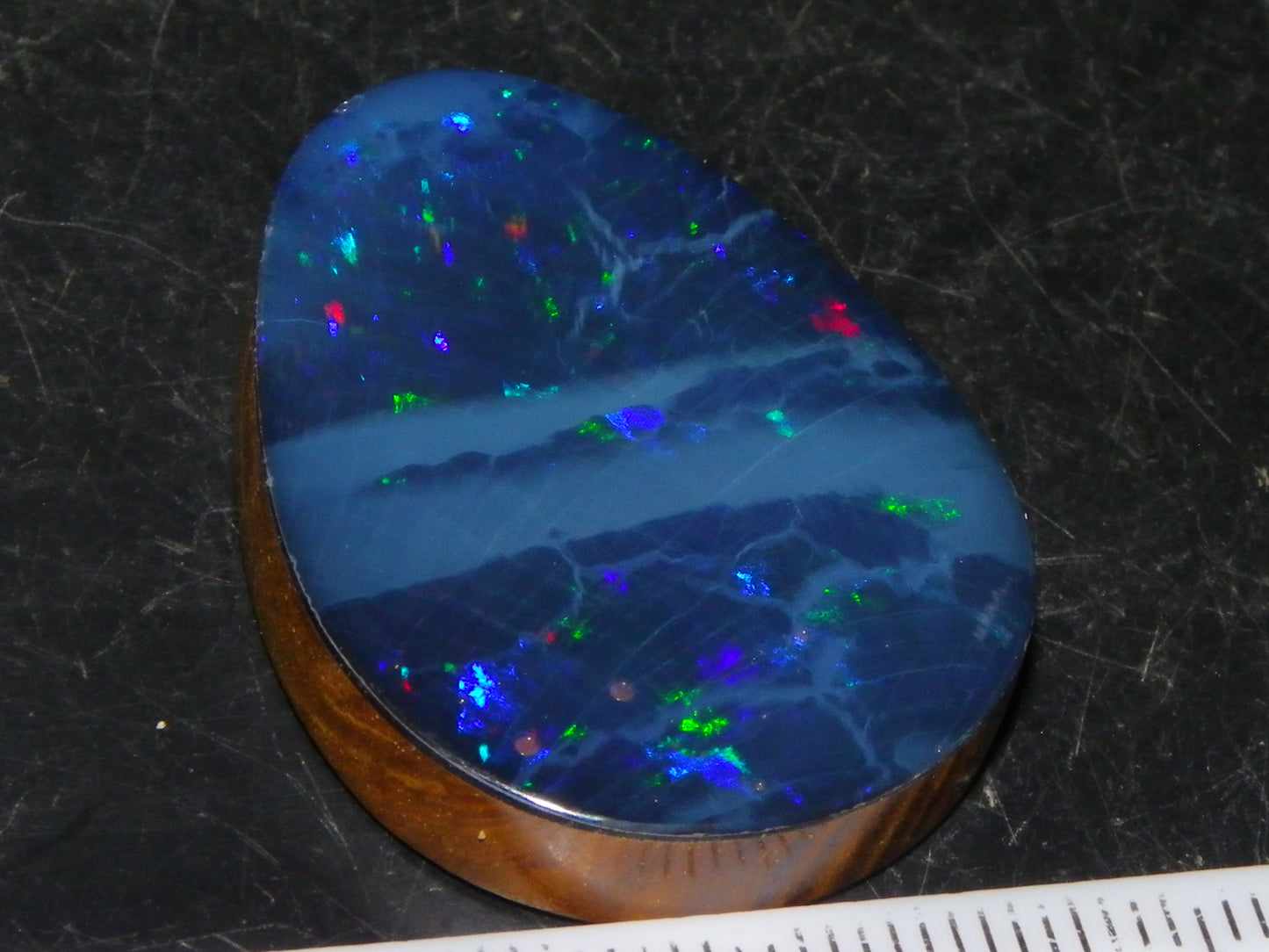 Nice Quality Lightning Ridge Opal Doublet 43.9cts Multiolours Fires Australia