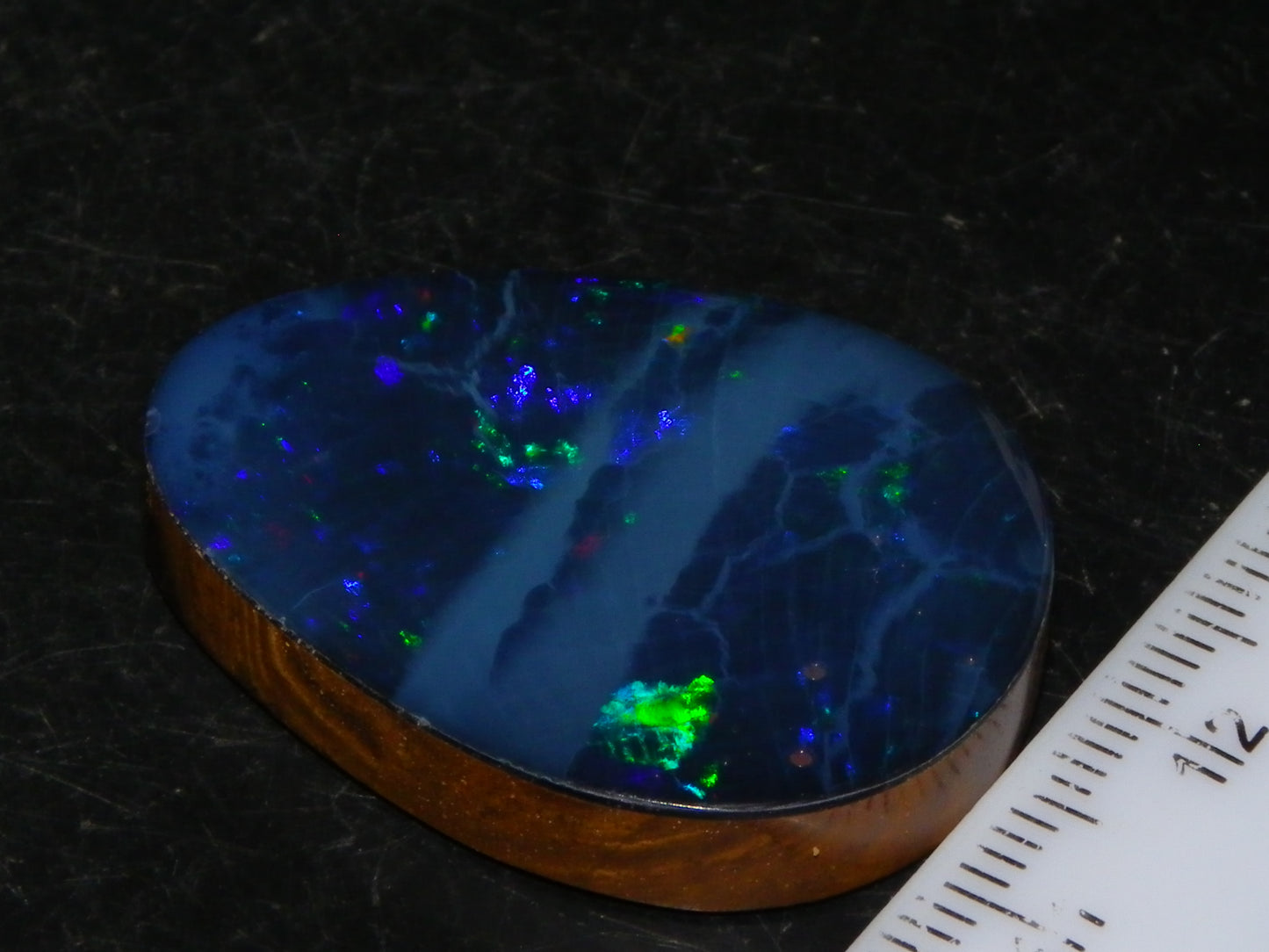 Nice Quality Lightning Ridge Opal Doublet 43.9cts Multiolours Fires Australia