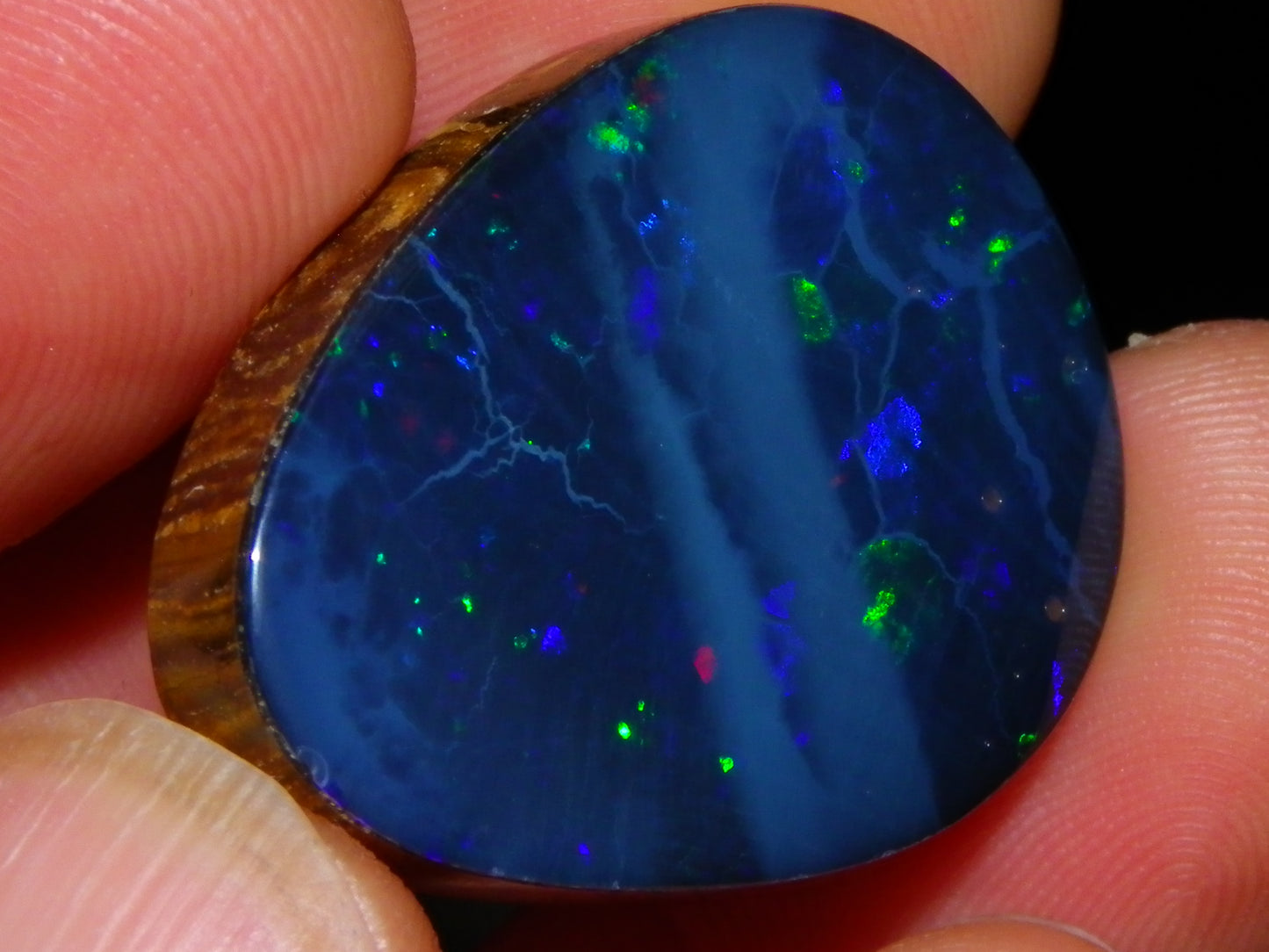 Nice Quality Lightning Ridge Opal Doublet 43.9cts Multiolours Fires Australia