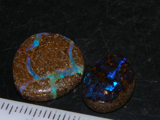 2 Cut/Polished Boulder Opals 14.6cts Queensland Australia Blue/Green Fires