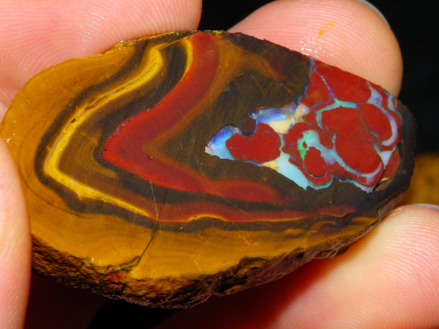 NIce Rough/Sliced Koroit Opal Parcel 1001cts Some Great Patterns/Slight Fires :)