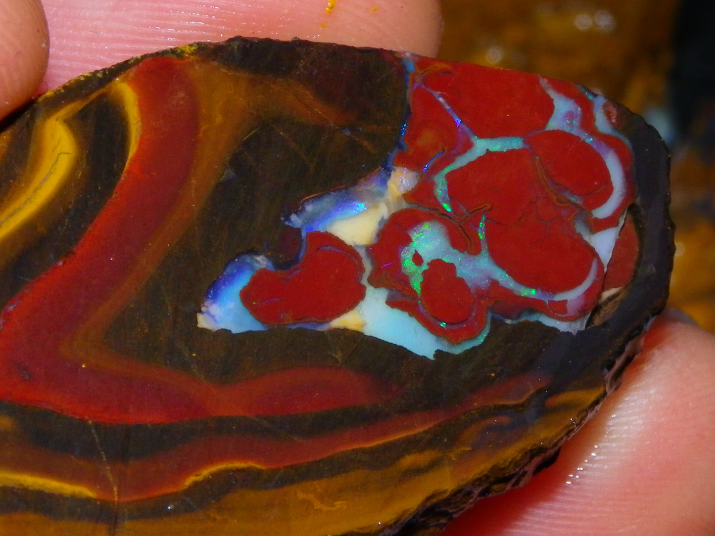 NIce Rough/Sliced Koroit Opal Parcel 1001cts Some Great Patterns/Slight Fires :)