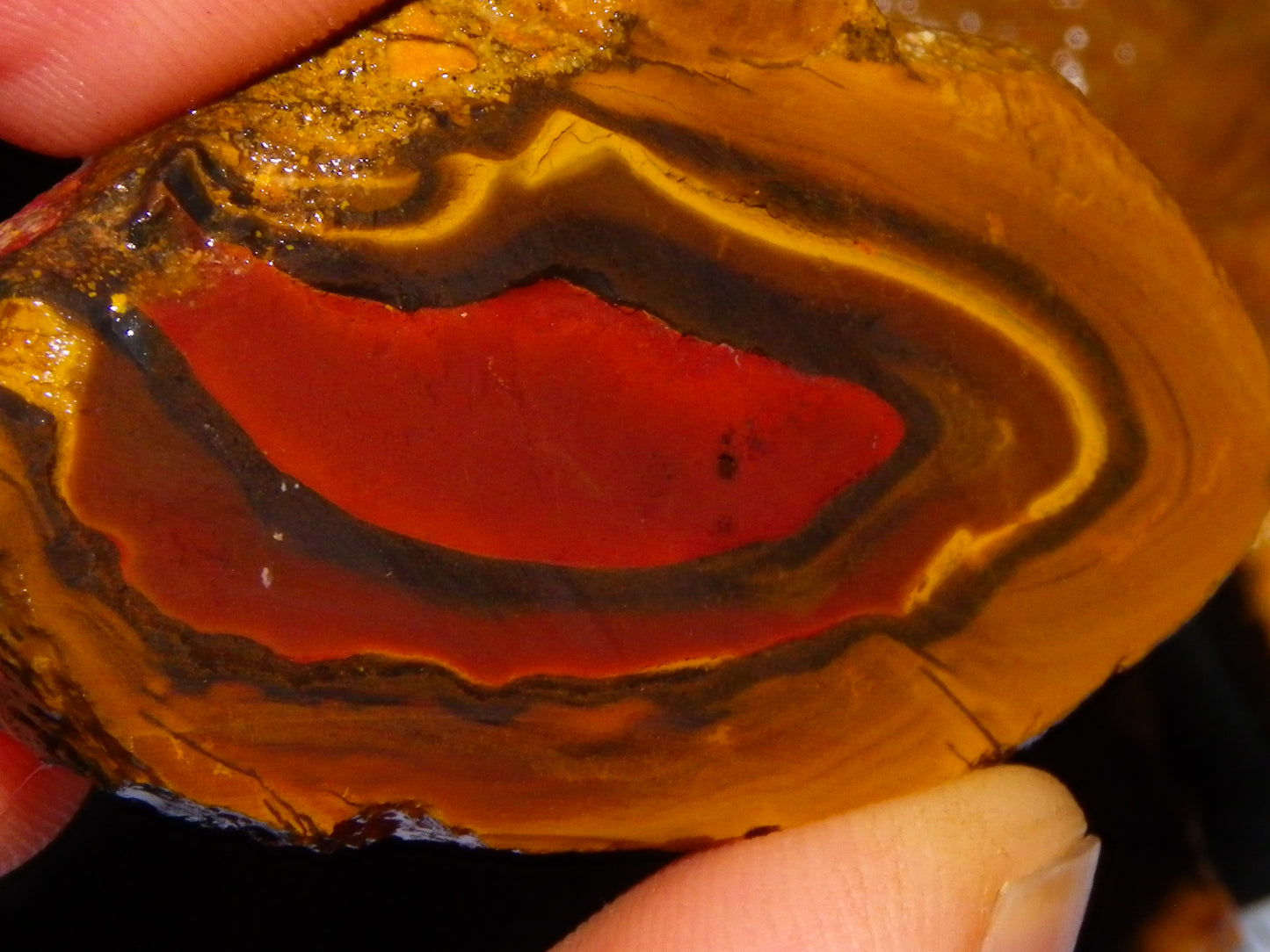 NIce Rough/Sliced Koroit Opal Parcel 1001cts Some Great Patterns/Slight Fires :)