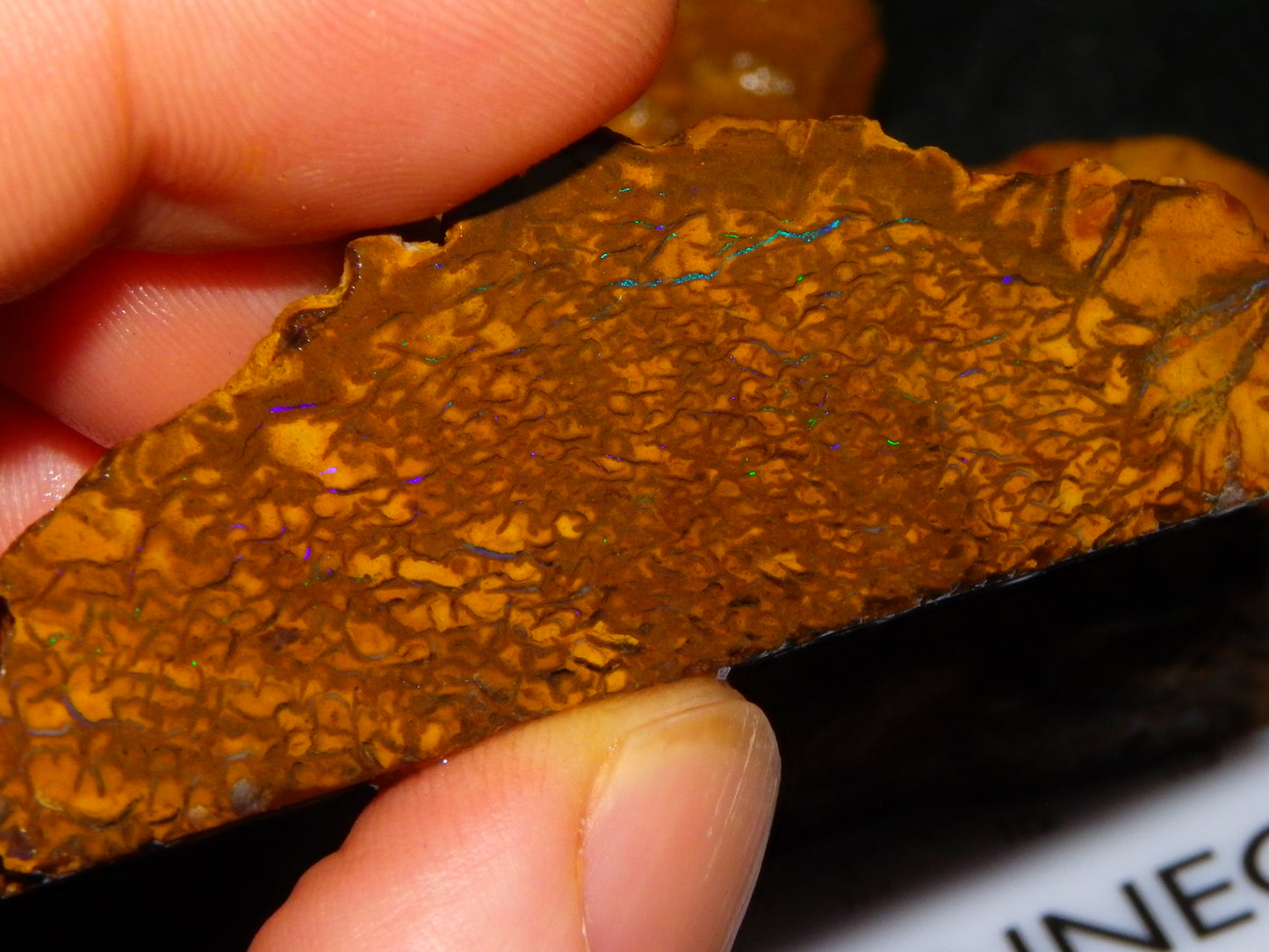 NIce Rough/Sliced Koroit Opal Parcel 1001cts Some Great Patterns/Slight Fires :)