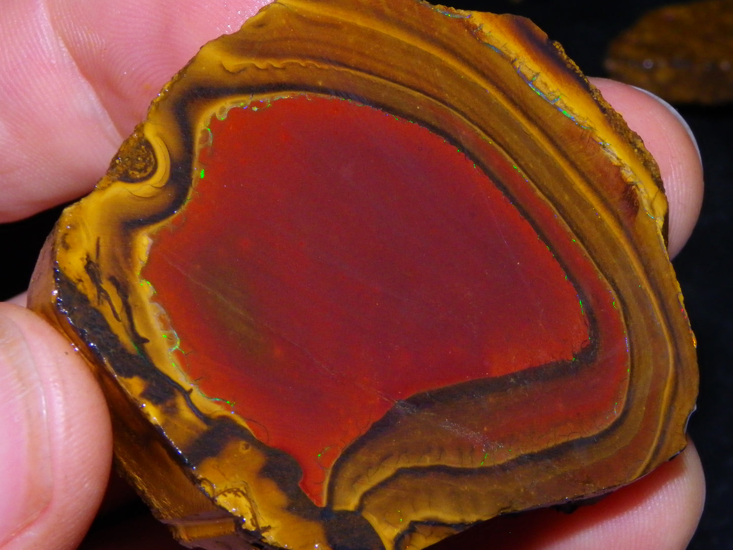 NIce Rough/Sliced Koroit Opal Parcel 1001cts Some Great Patterns/Slight Fires :)