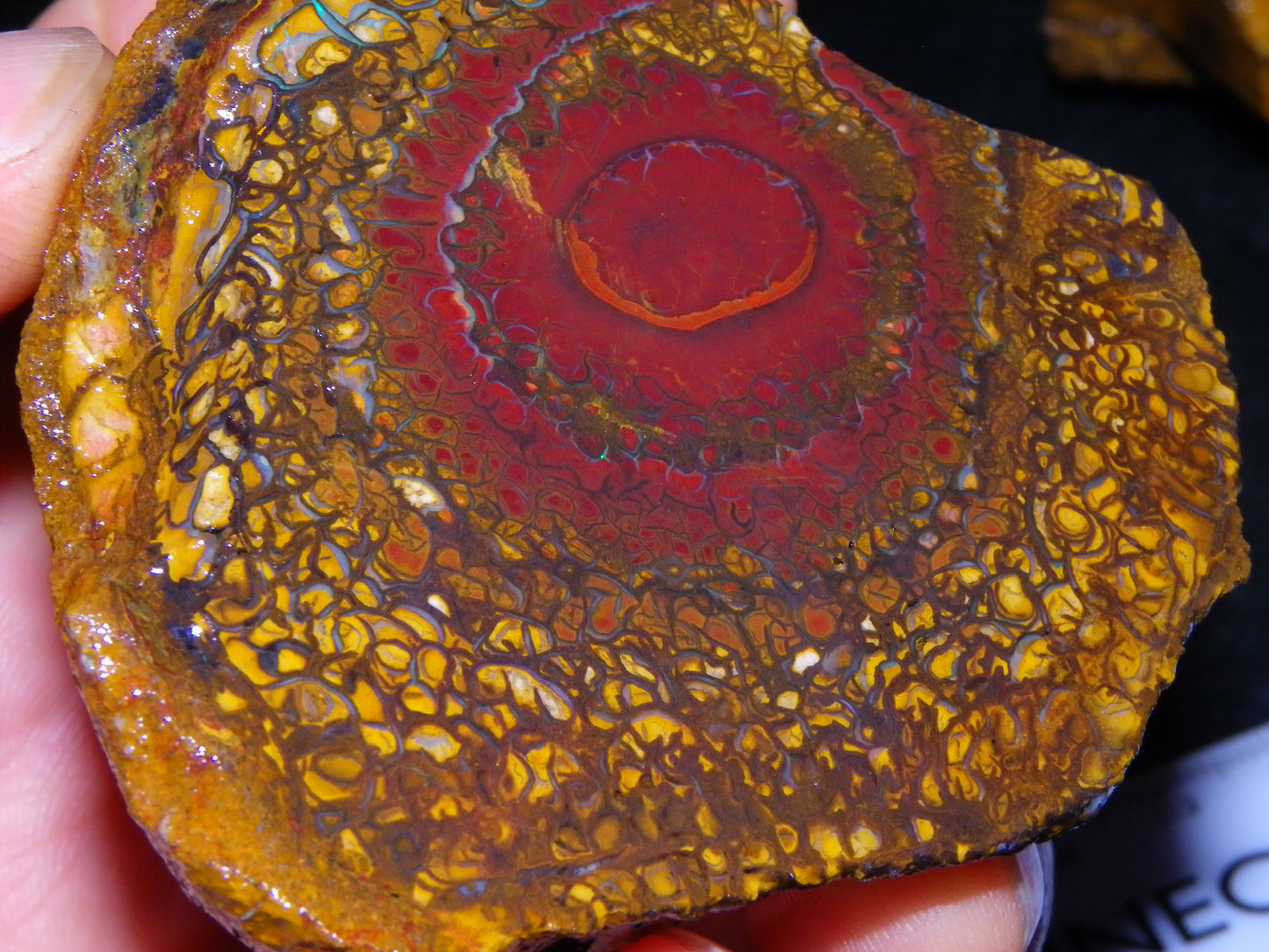 NIce Rough/Sliced Koroit Opal Parcel 1001cts Some Great Patterns/Slight Fires :)