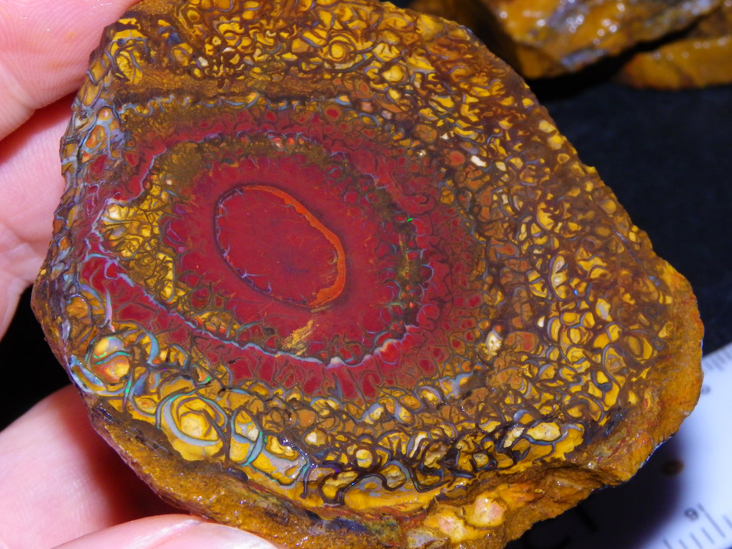 NIce Rough/Sliced Koroit Opal Parcel 1001cts Some Great Patterns/Slight Fires :)