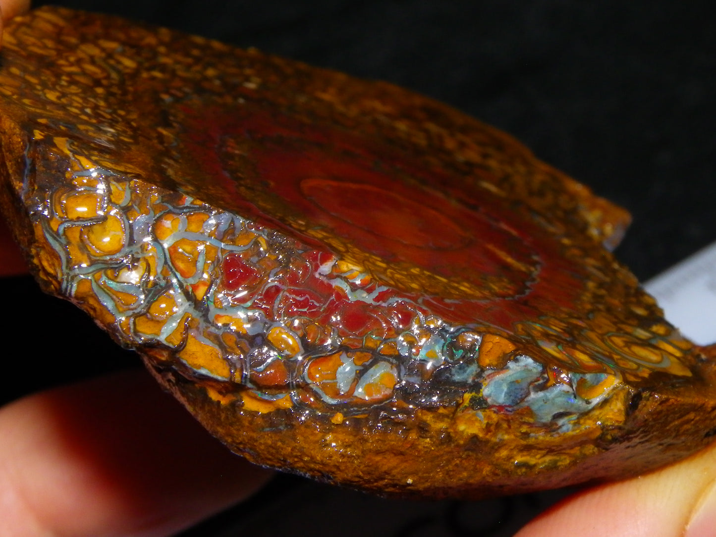 NIce Rough/Sliced Koroit Opal Parcel 1001cts Some Great Patterns/Slight Fires :)