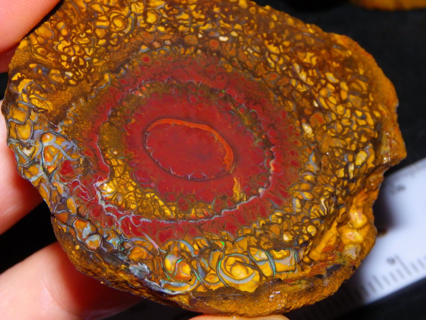 NIce Rough/Sliced Koroit Opal Parcel 1001cts Some Great Patterns/Slight Fires :)