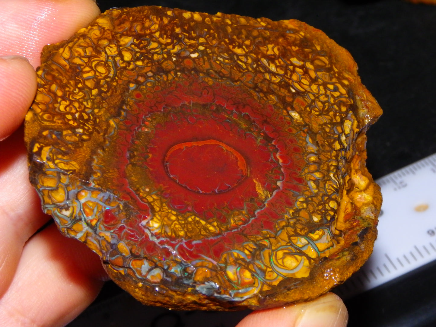 NIce Rough/Sliced Koroit Opal Parcel 1001cts Some Great Patterns/Slight Fires :)